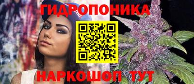 mdma Краснознаменск