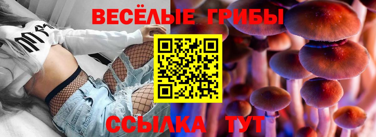 Галлюциногенные грибы Cubensis Каменка